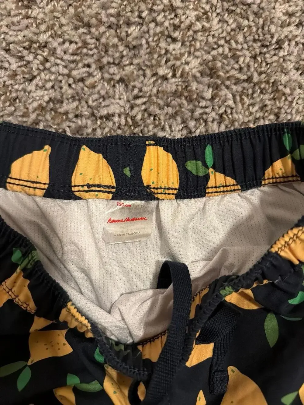 Hanna Anderson Boys Swim Trunks Shorts (US 12 /150cm)
